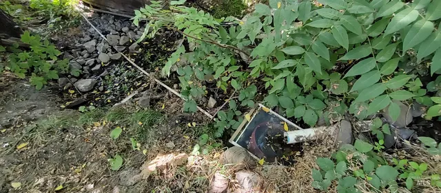 $249,700 | 31803 Cherry Ranch Lane, Lenore, ID 83541