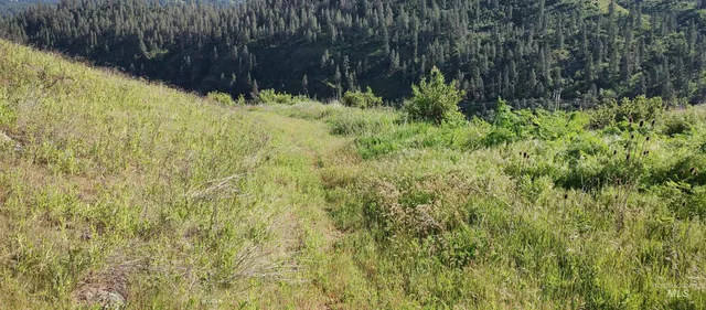 $249,700 | 31803 Cherry Ranch Lane, Lenore, ID 83541