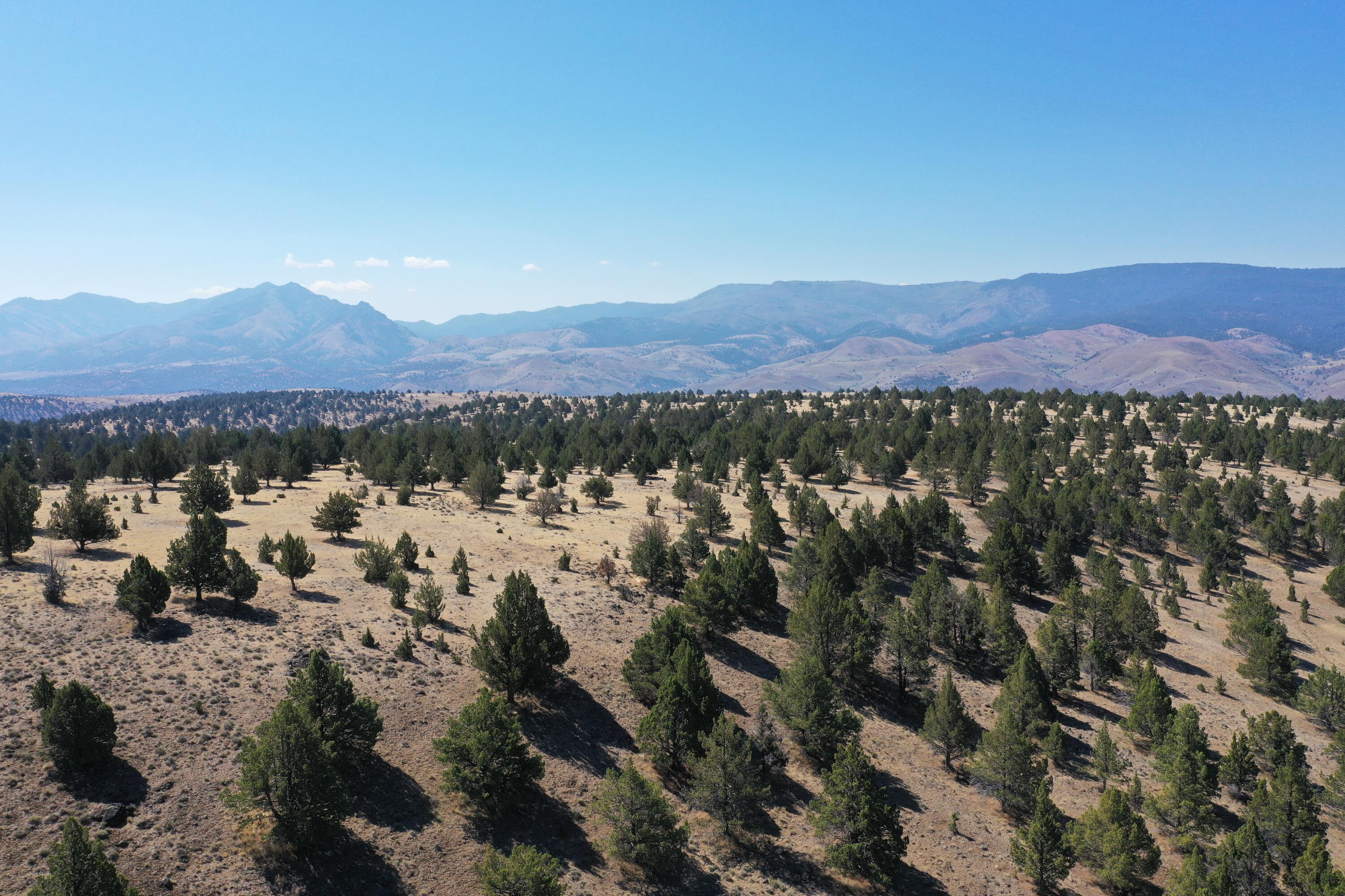 2400 Wiley Creek Road Mount Vernon, OR 97865 - Photo 4 of 34 DJI_0400