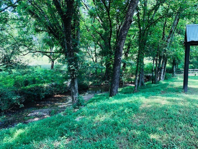 248 Access Road Pulaski, TN 38478 - Photo 3 of 19 a view of a lush green forest