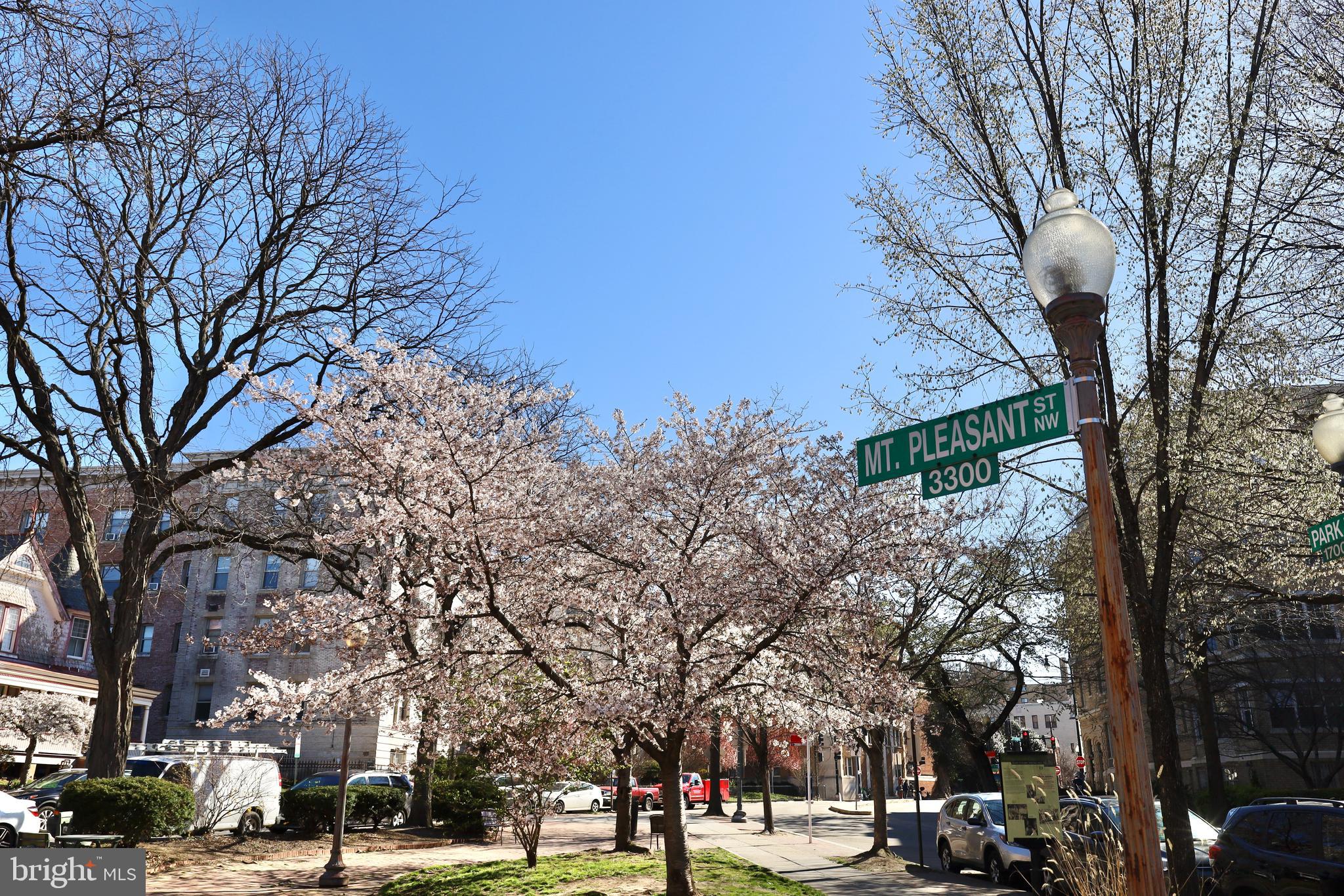 2025 Park Road Northwest Washington, DC 20010 - Photo 62 of 62 Gallery Image 62