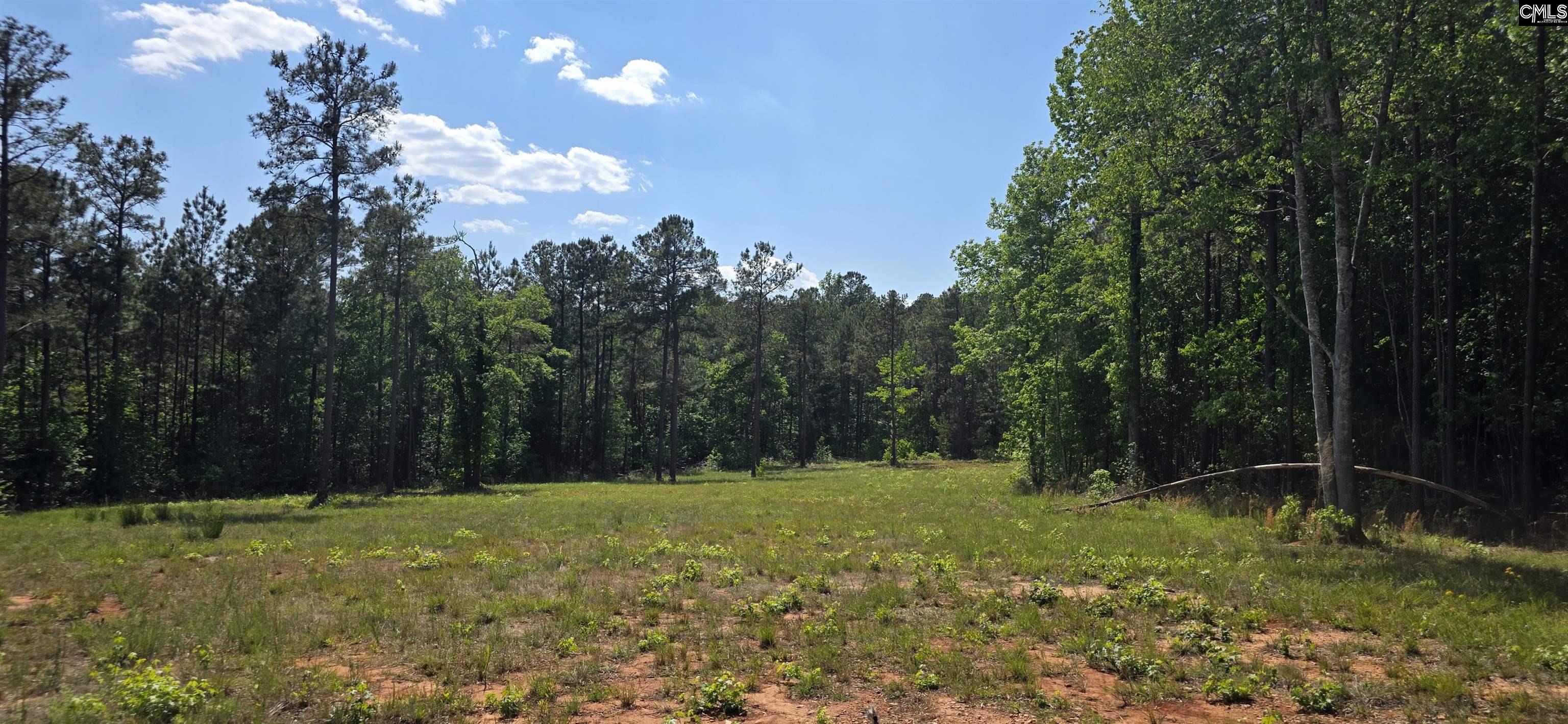 Tbd Tbd Trade Mill Road Winnsboro, SC 29180 - Photo 2 of 3