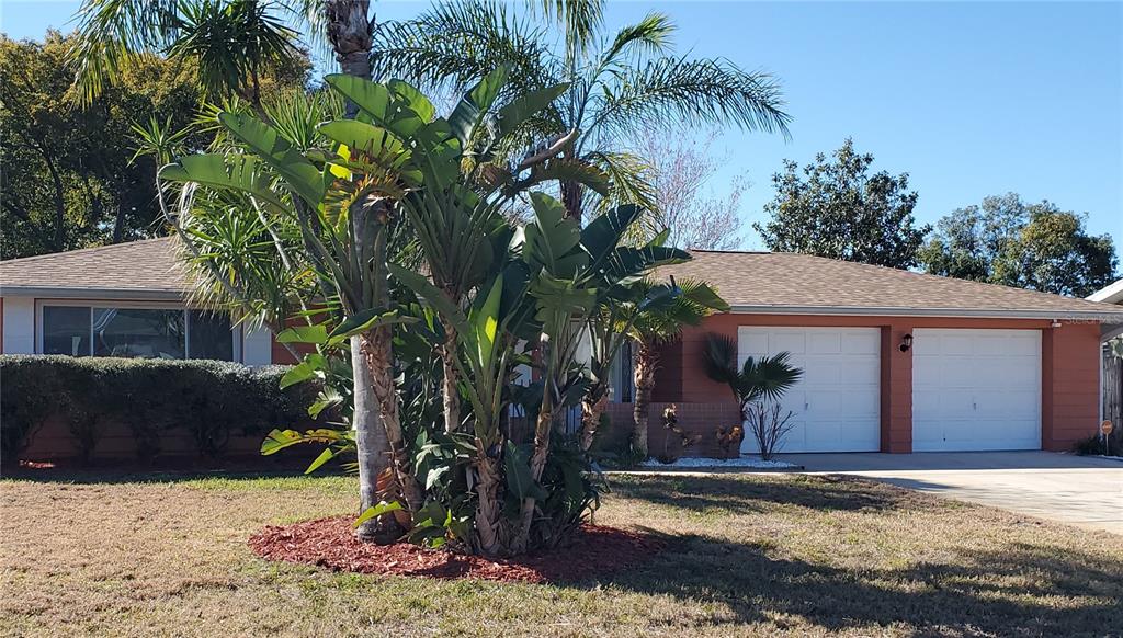 7702 Rosewood Drive Port Richey, FL 34668 - Photo 3 of 47