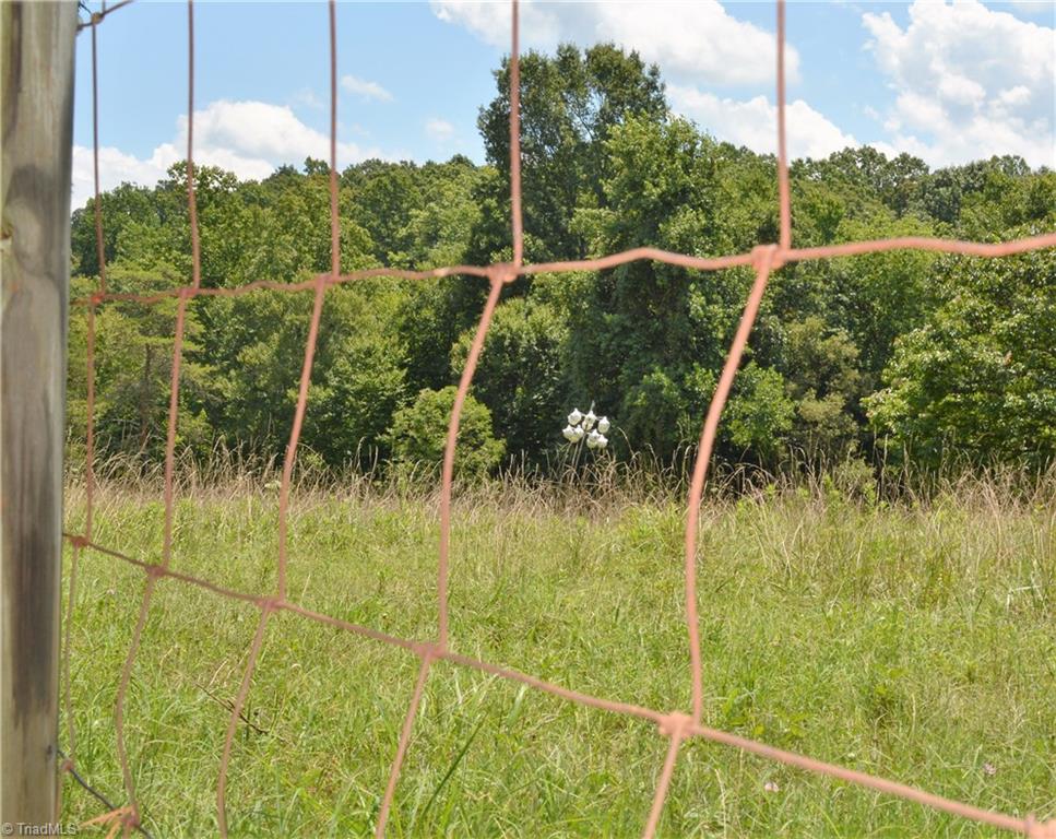 9075 Broad Street Rural Hall, NC 27045 - Photo 19 of 23