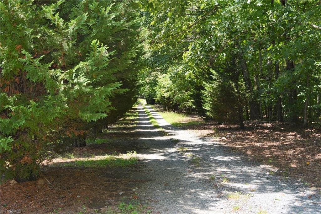 9075 Broad Street Rural Hall, NC 27045 - Photo 7 of 23
