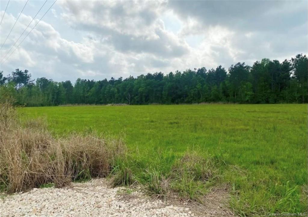 10870 Hwy 113 Road Reeves, LA 70658 - Photo 5 of 6