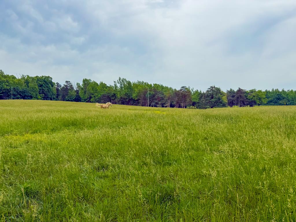 8820 Nutbush Road Green Bay, VA 23942 - Photo 65 of 70 Gallery Image 65