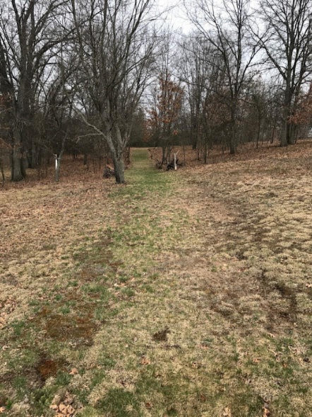 6200 East 96th Street Reed City, MI 49677 - Photo 54 of 68 IMG_0333