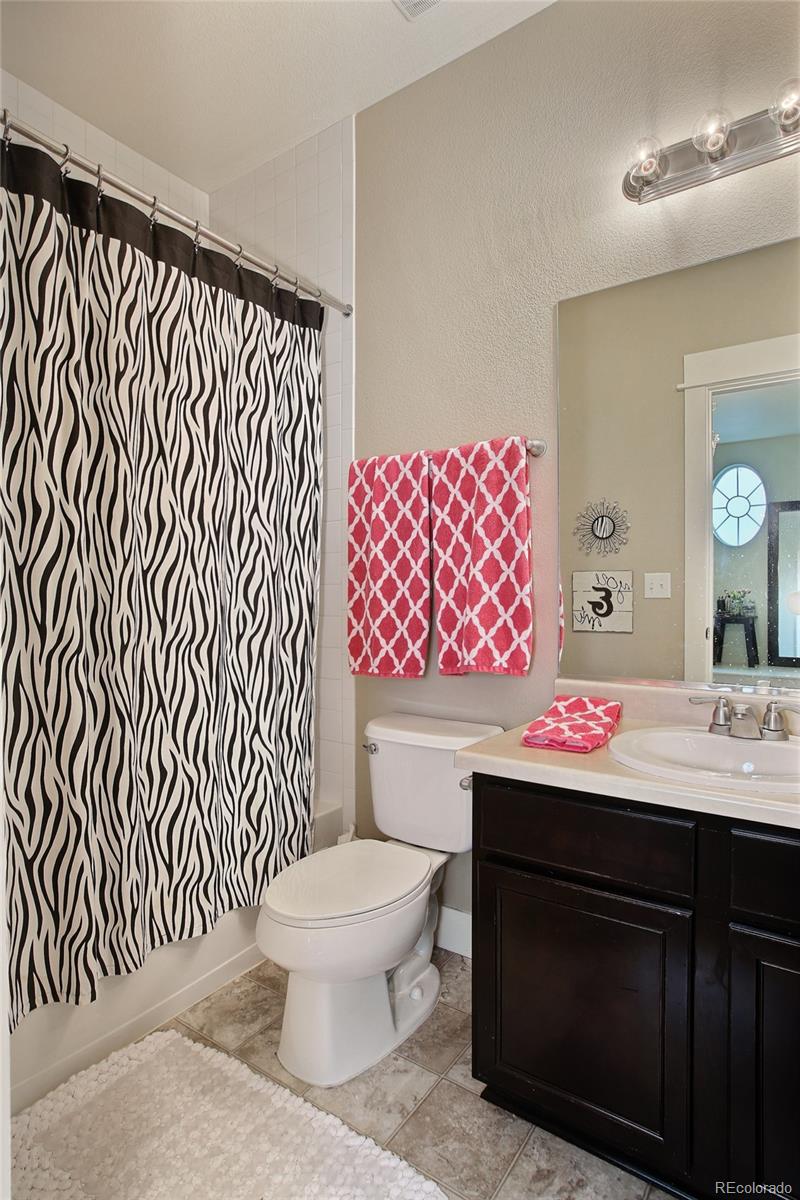 20221 East Shady Ridge Road Parker, CO 80134 - Photo 18 of 26 Gallery Image 18