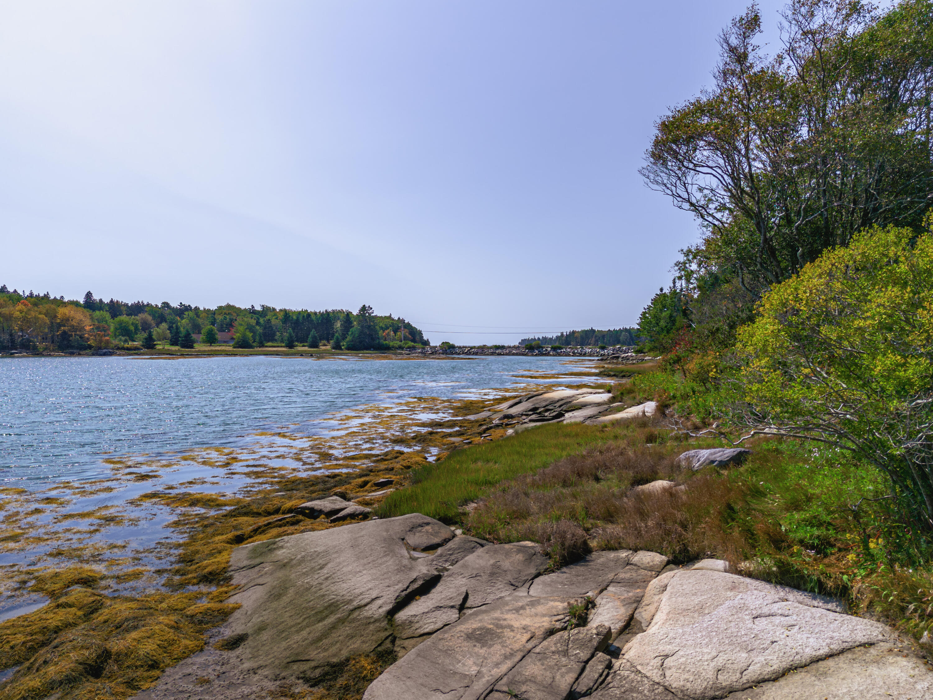 232 Atlantic Quarry Road Spruce Head, ME 04859 - Photo 6 of 59 DJI_20240916120626_0031_D-Enhanced-NR