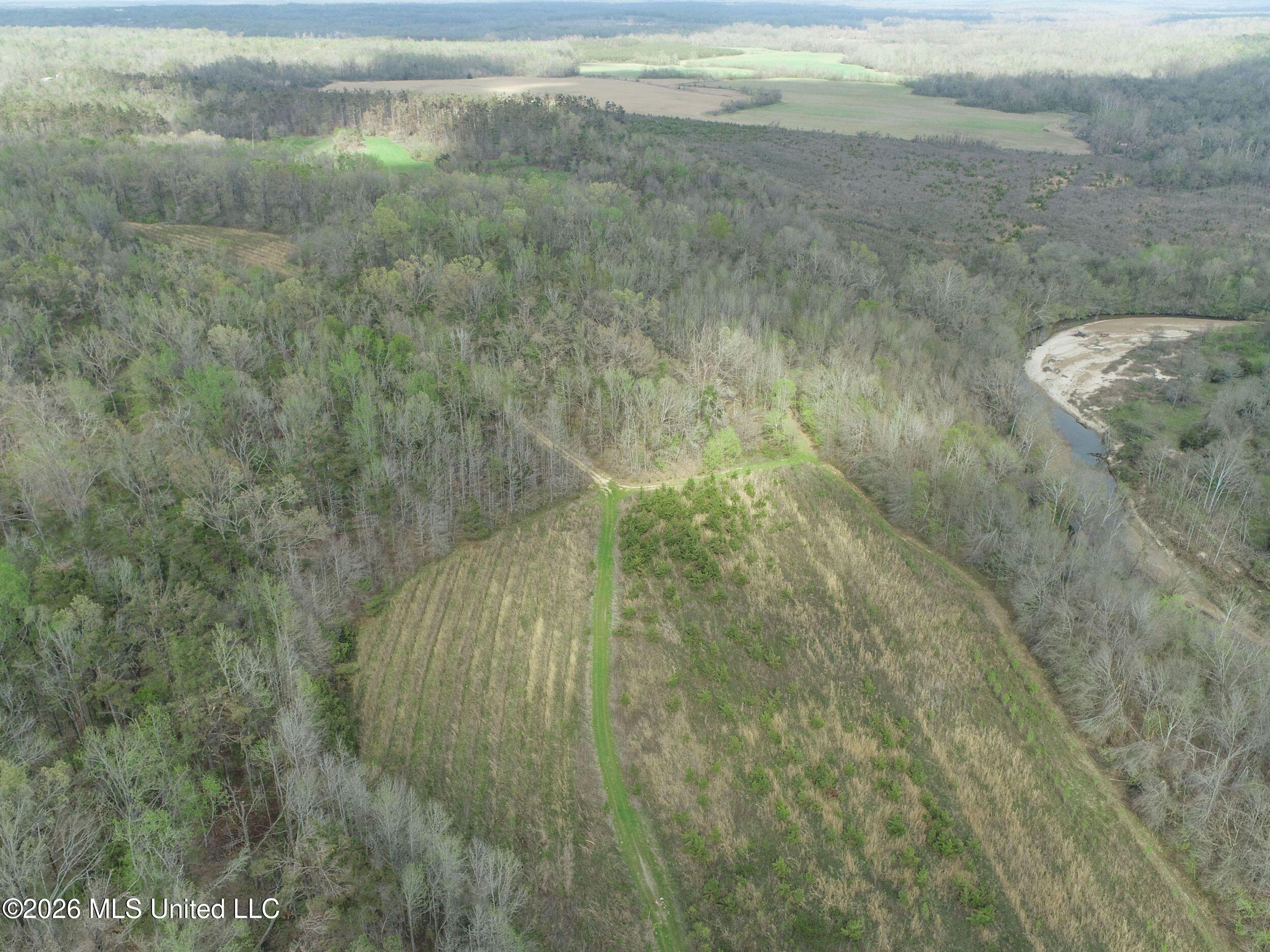 Chinqupin Road Lexington, MS 39095 - Photo 96 of 210 7chqpn26