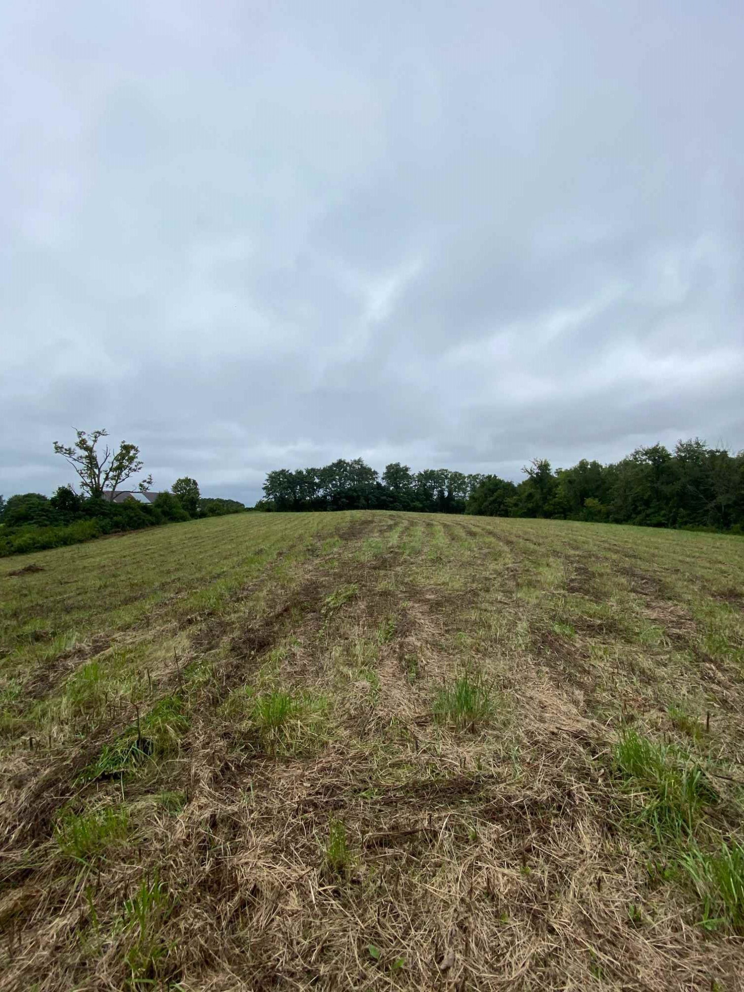 3 Baton Rouge Road Williamstown, KY 41097 - Photo 5 of 25
