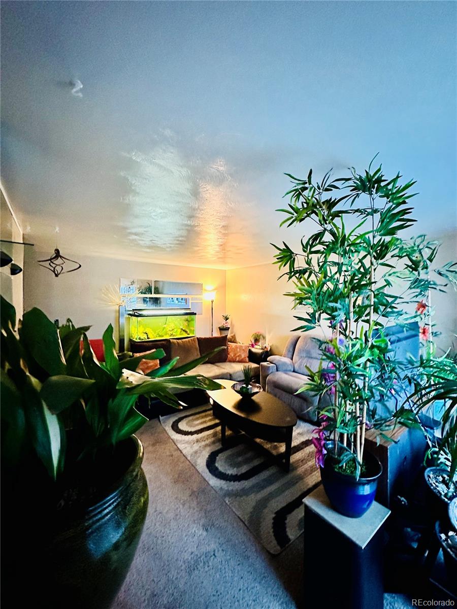 662 South Tejon Street Denver, CO 80223 - Photo 4 of 19 a living room with patio furniture and potted plants