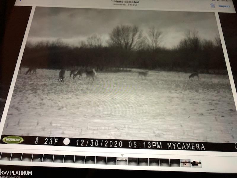 0 Burton Road Capac, MI 48014 - Photo 1 of 5