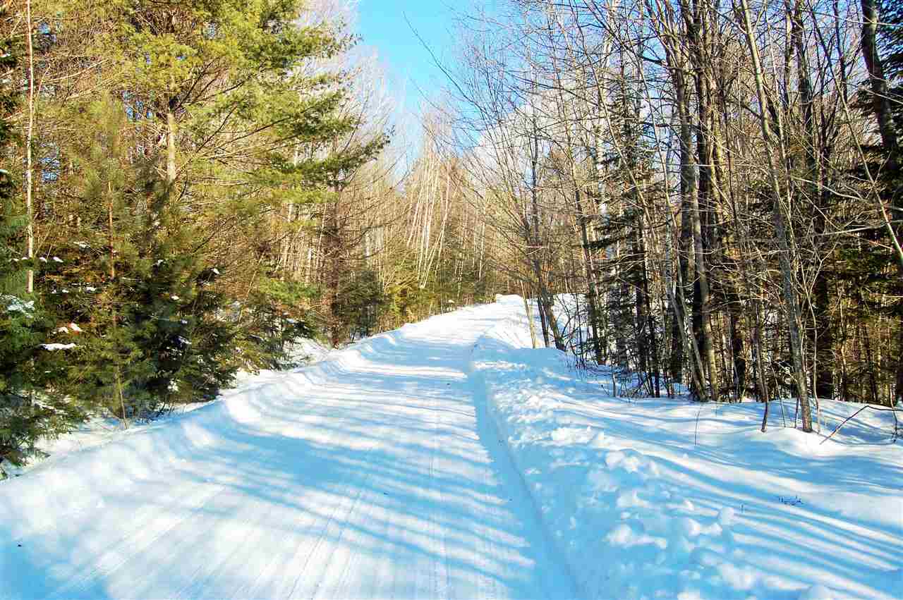 South Pond Road Stark, NH 03582 - Photo 2 of 21
