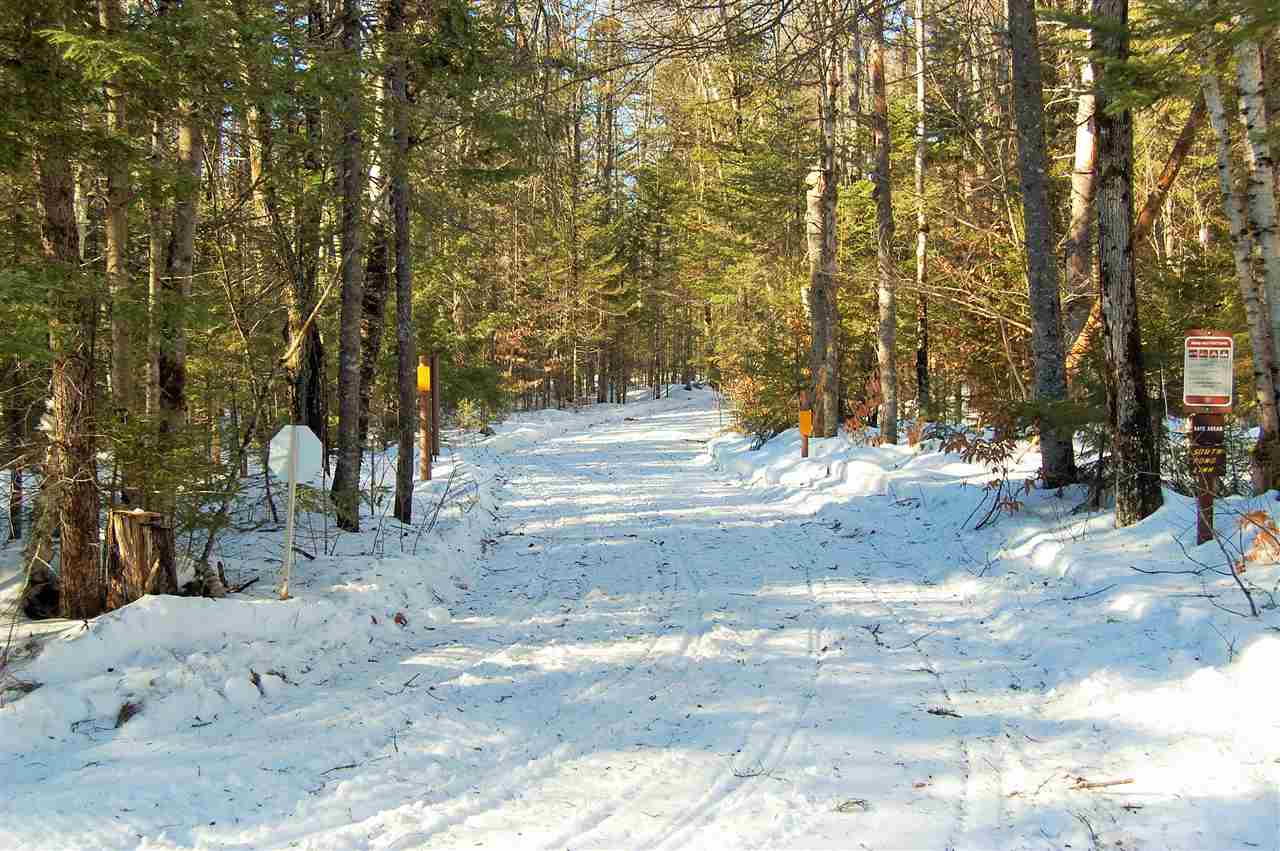 South Pond Road Stark, NH 03582 - Photo 17 of 21