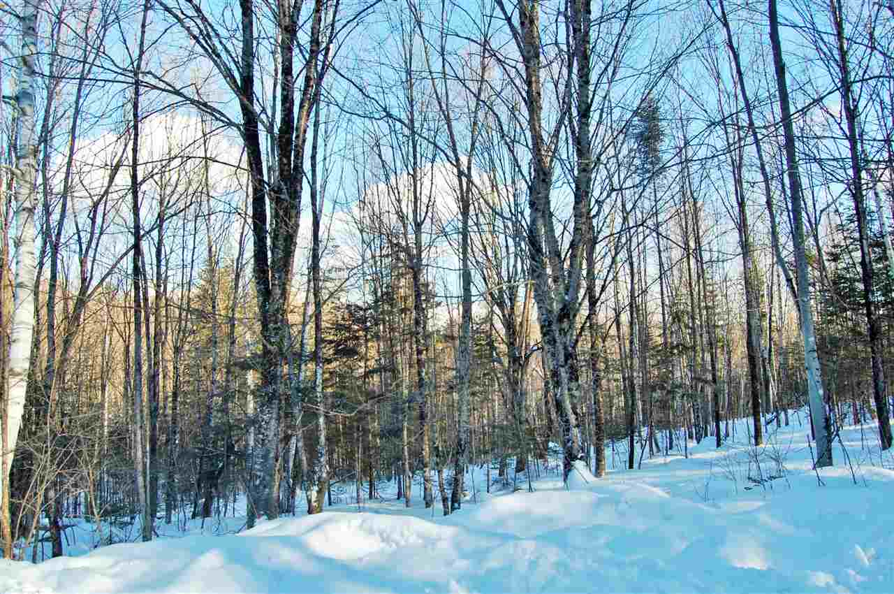 South Pond Road Stark, NH 03582 - Photo 3 of 21
