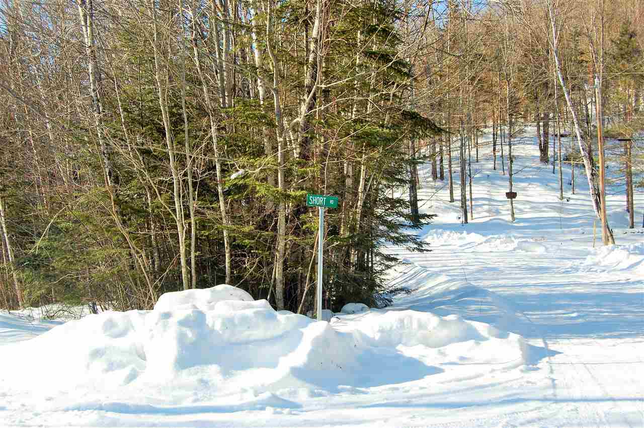 South Pond Road Stark, NH 03582 - Photo 8 of 21