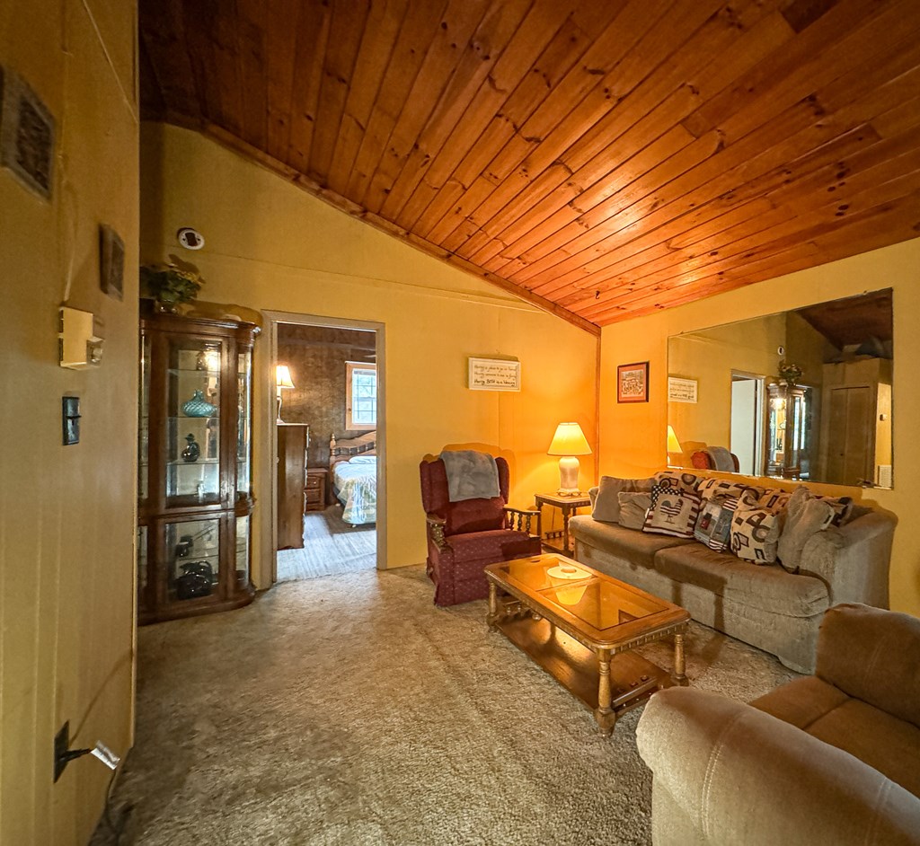 159 Hiawassee River Road Murphy, NC 28906 - Photo 19 of 30 Gallery Image 19