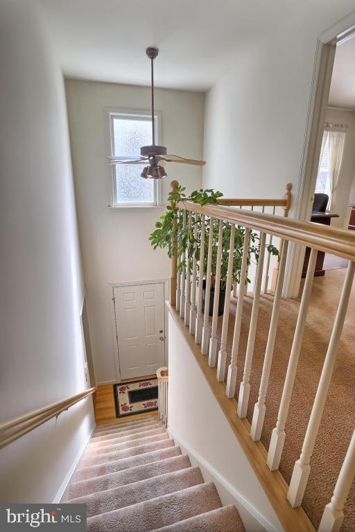 255 Kingsbridge Drive Lititz, PA 17543 - Photo 32 of 55 Gallery Image 32
