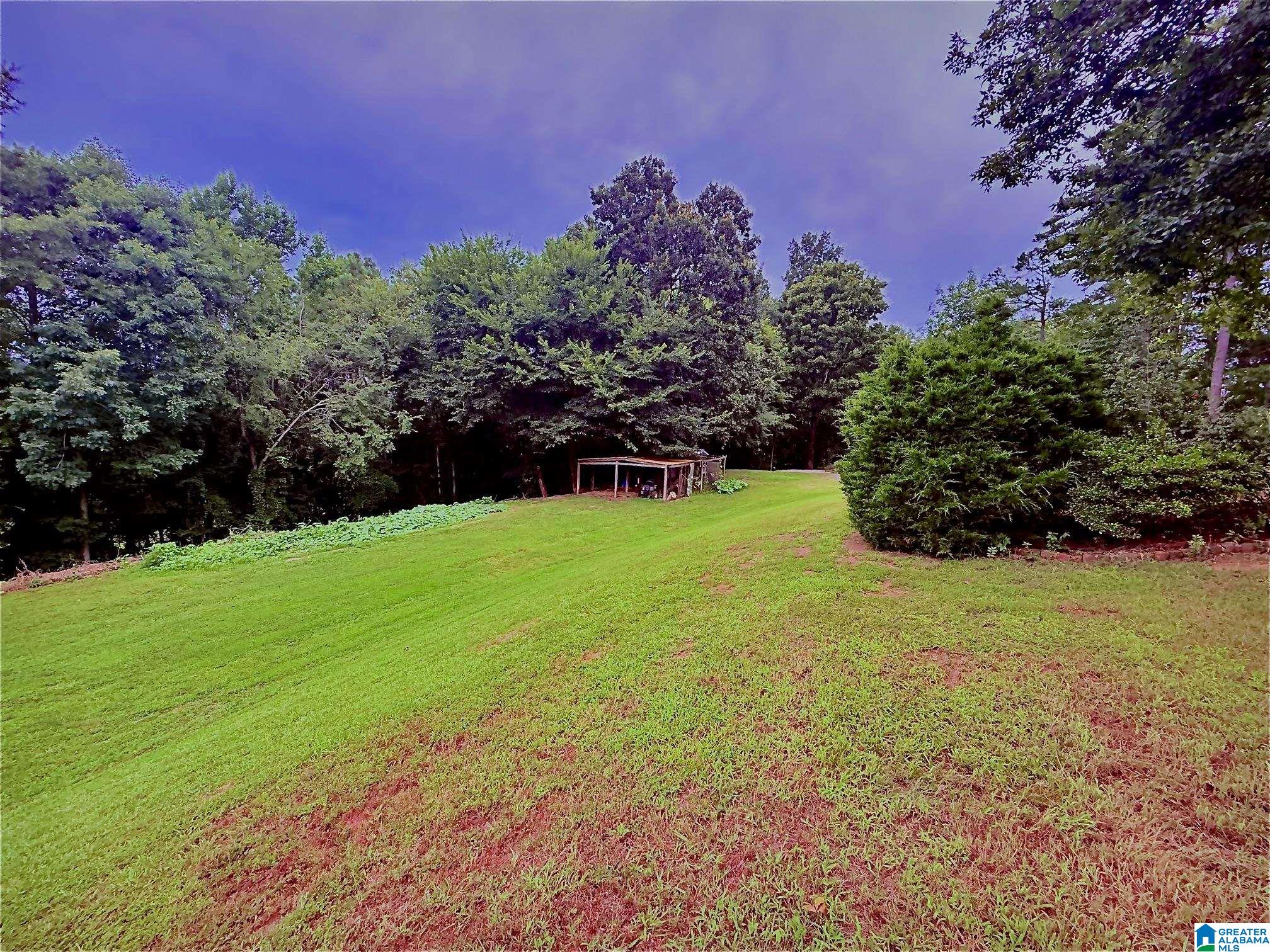785 Shady Grove Road Piedmont, AL 36272 - Photo 69 of 70