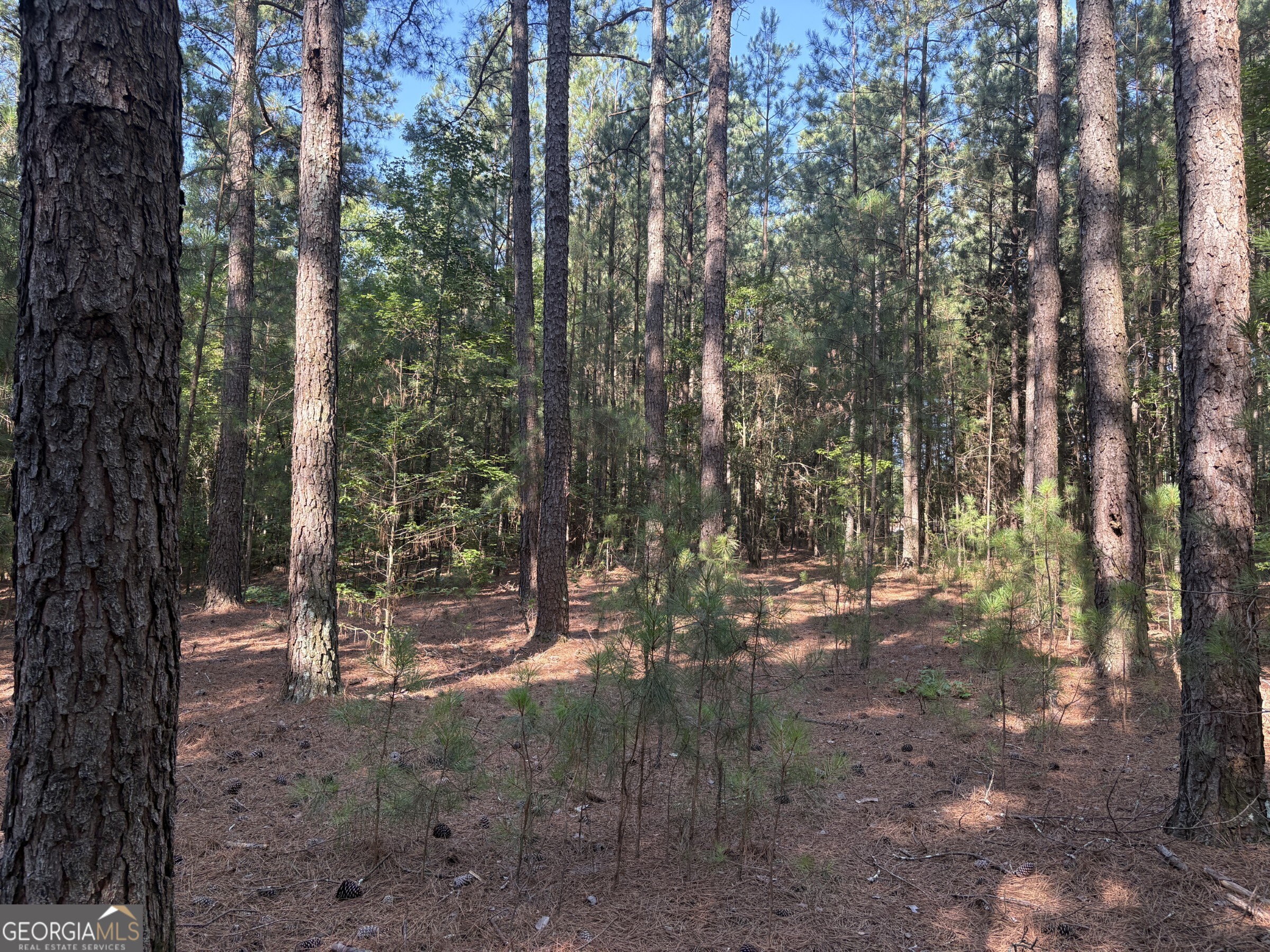 41 Elton Stewart Road Carlton, GA 30627 - Photo 10 of 12