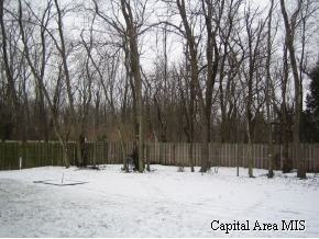 6941 Fringetree Way Springfield, IL 62712 - Photo 9 of 9
