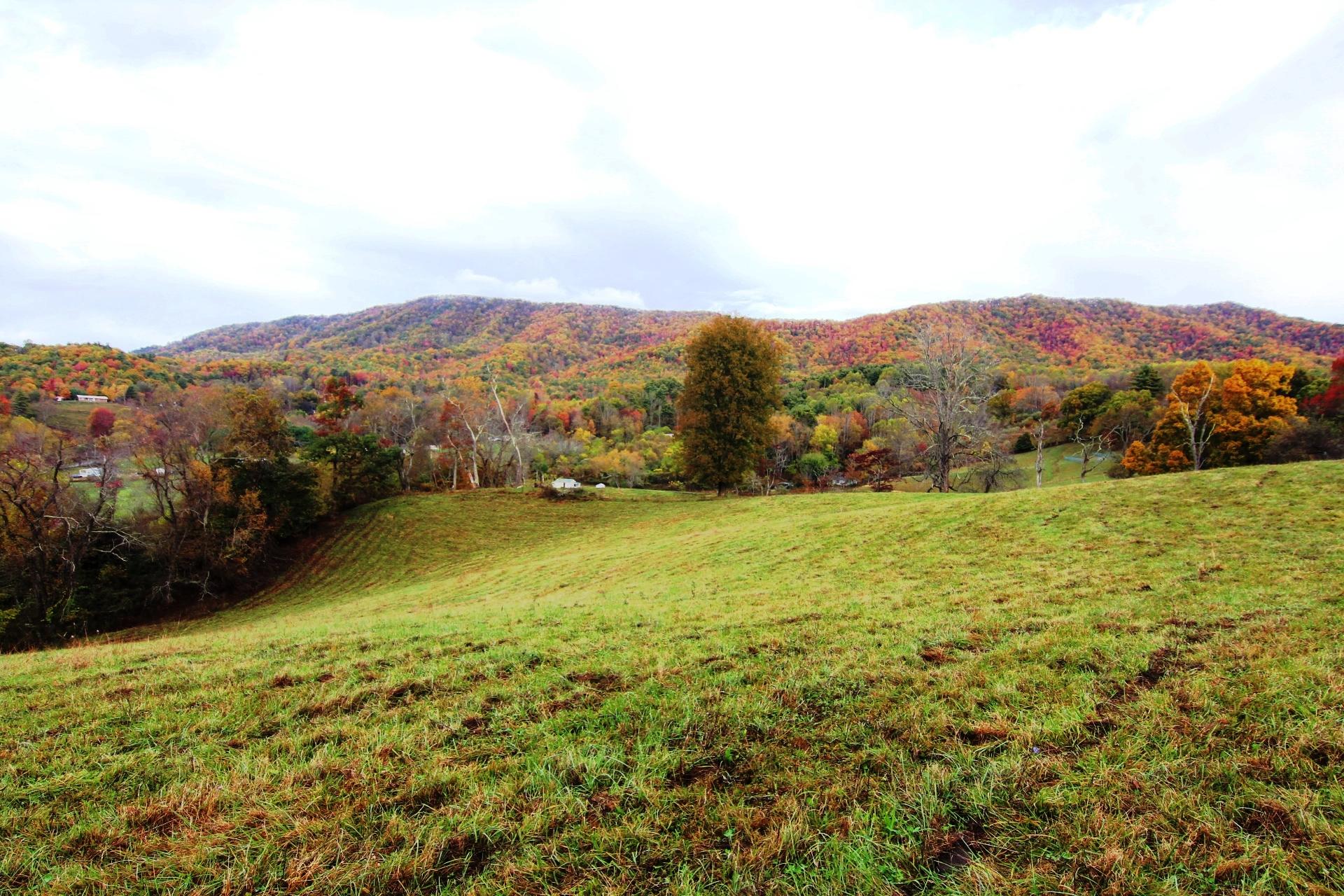256 Morley Road Mountain City, TN 37683 - Photo 13 of 51 14