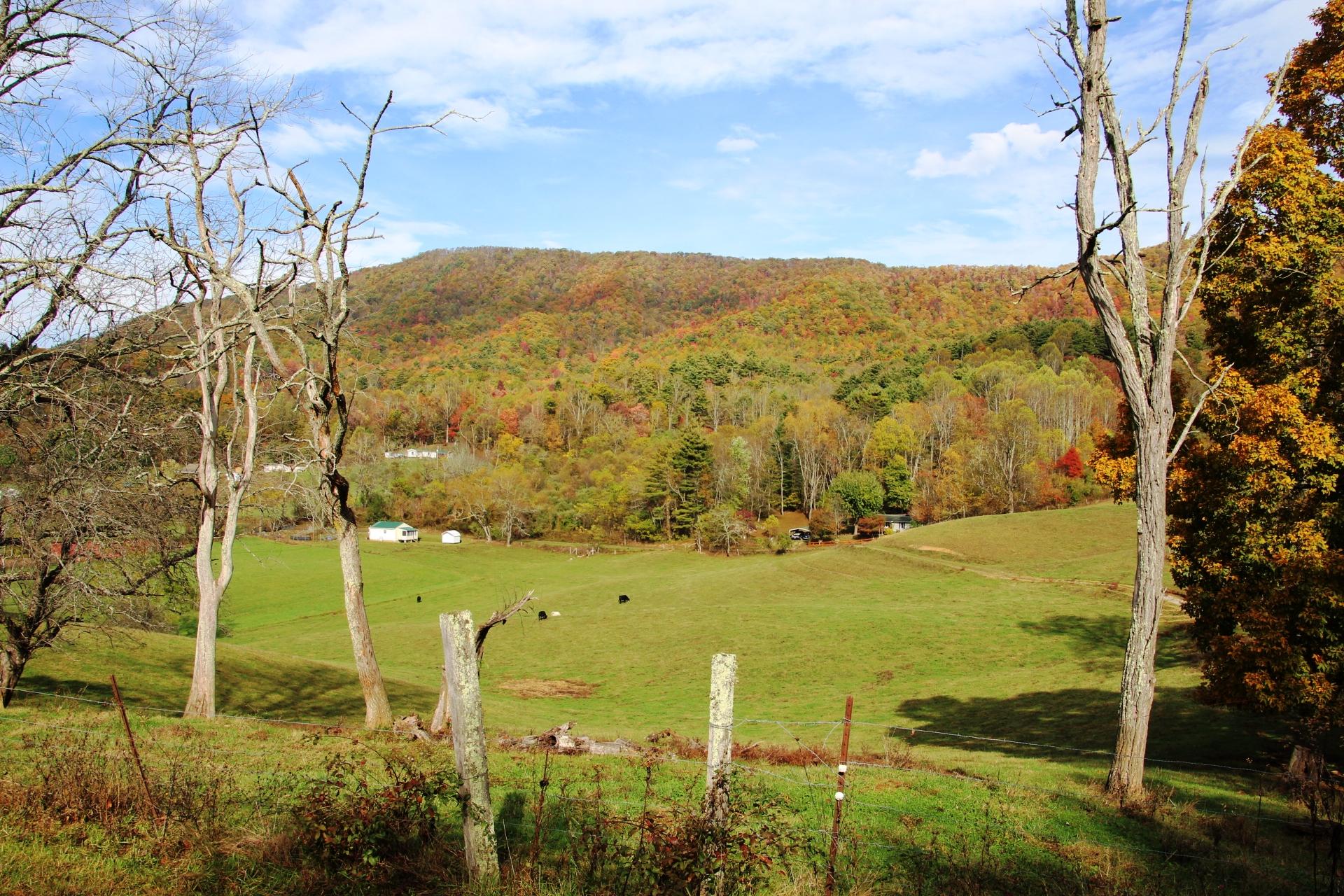 256 Morley Road Mountain City, TN 37683 - Photo 14 of 51 19