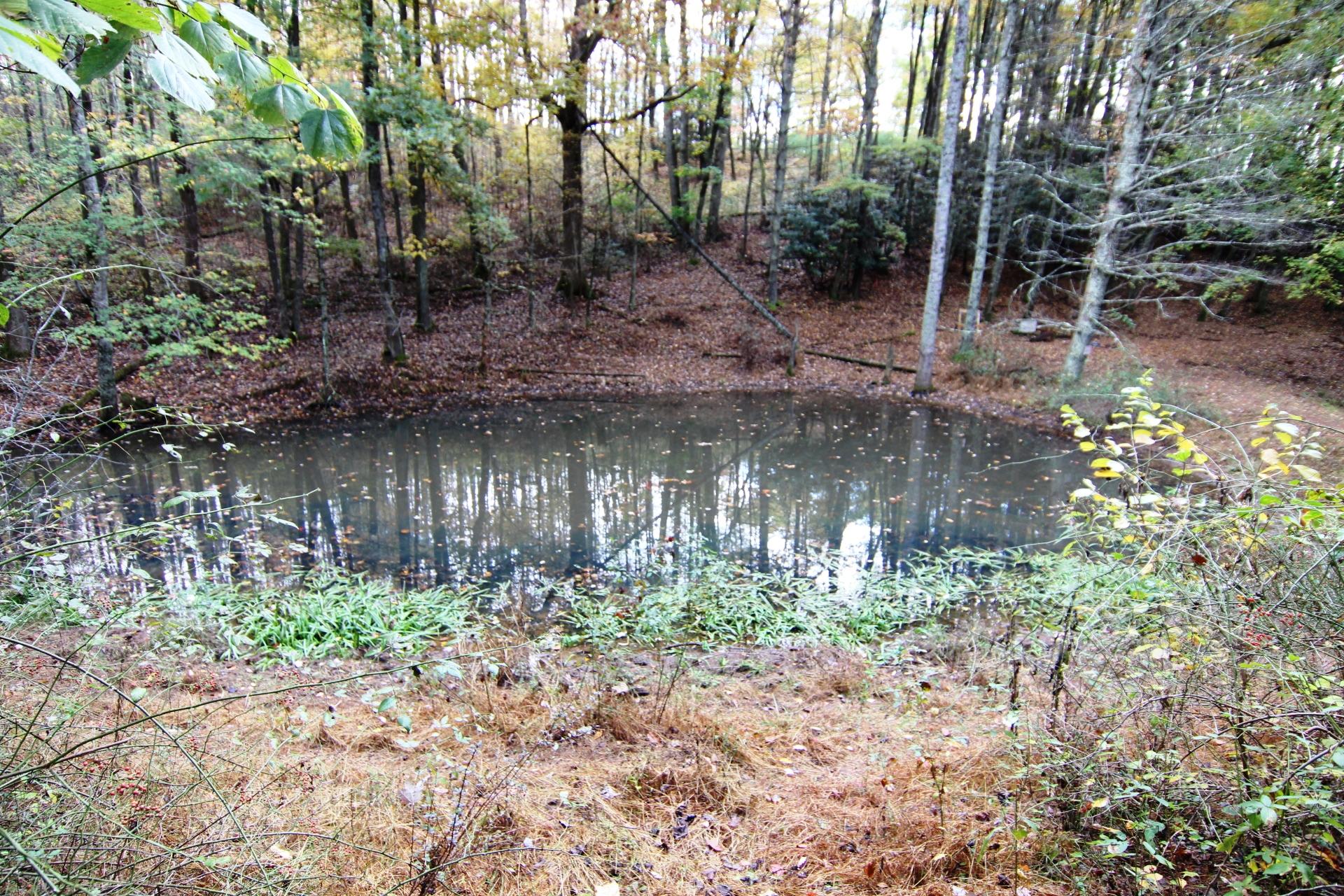 256 Morley Road Mountain City, TN 37683 - Photo 15 of 51 20