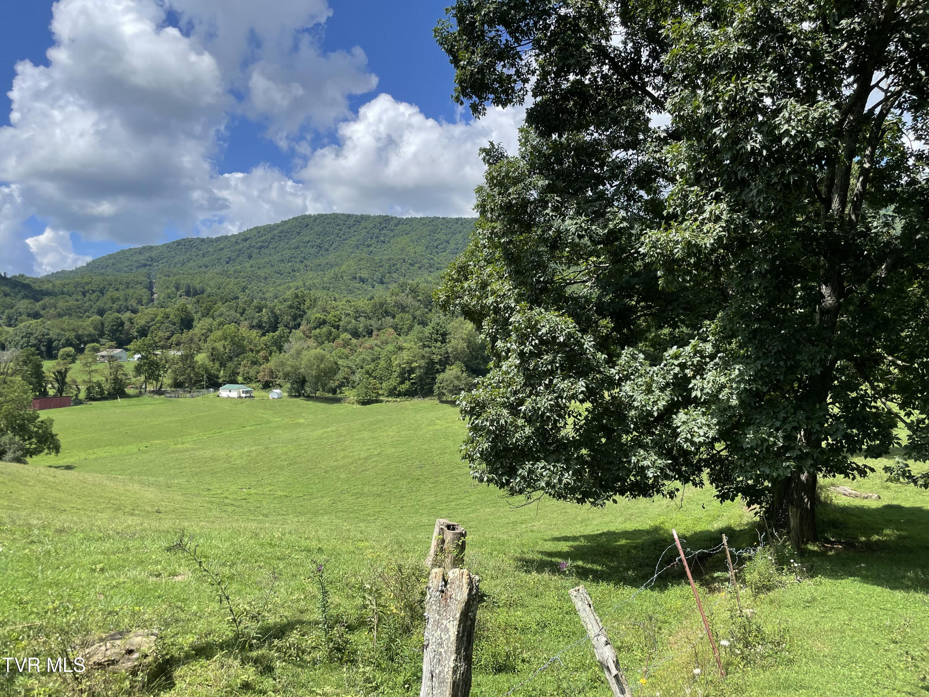 256 Morley Road Mountain City, TN 37683 - Photo 39 of 51 IMG_0821