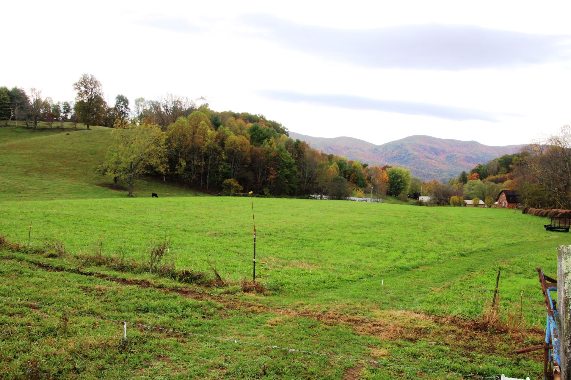 256 Morley Road Mountain City, TN 37683 - Photo 6 of 51 1