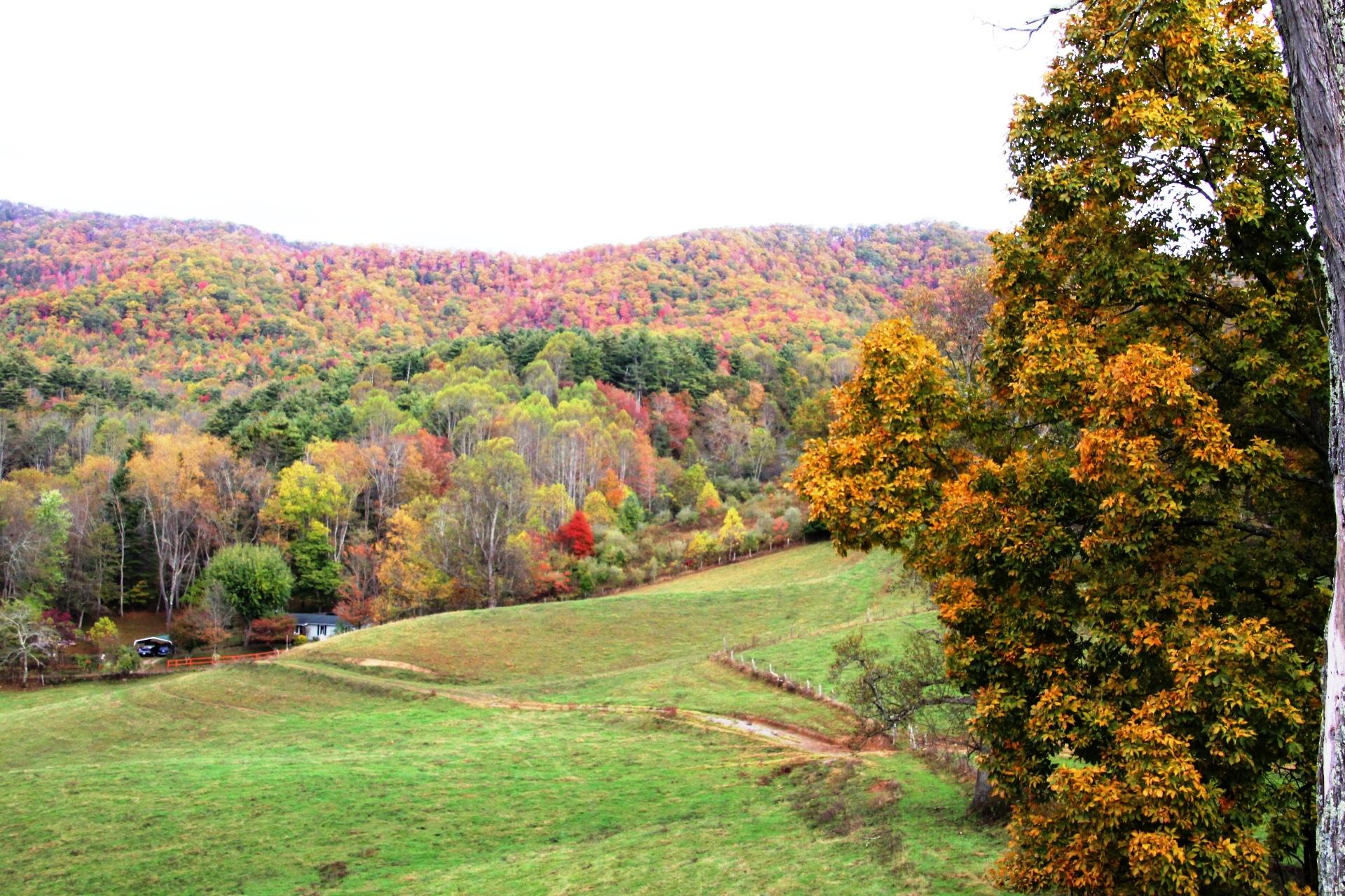 256 Morley Road Mountain City, TN 37683 - Photo 8 of 51 10