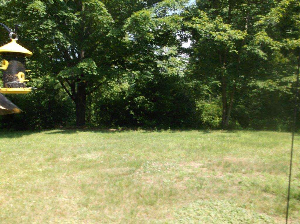 7 Florence Drive Rochester, NH 03867 - Photo 2 of 9