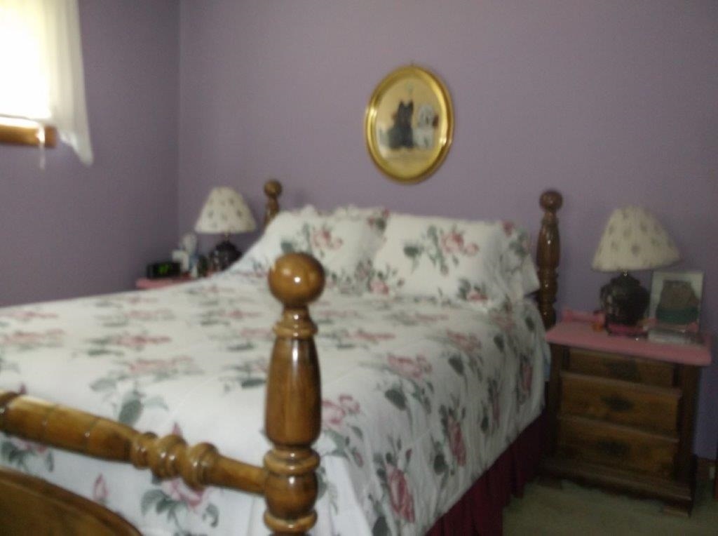 7 Florence Drive Rochester, NH 03867 - Photo 6 of 9