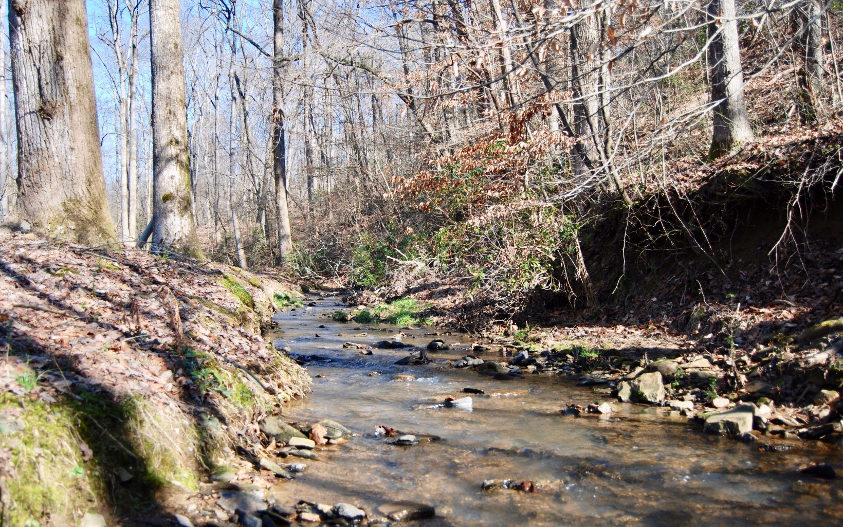 Alpine Farm Road Talking Rock, GA 30175 - Photo 1 of 1