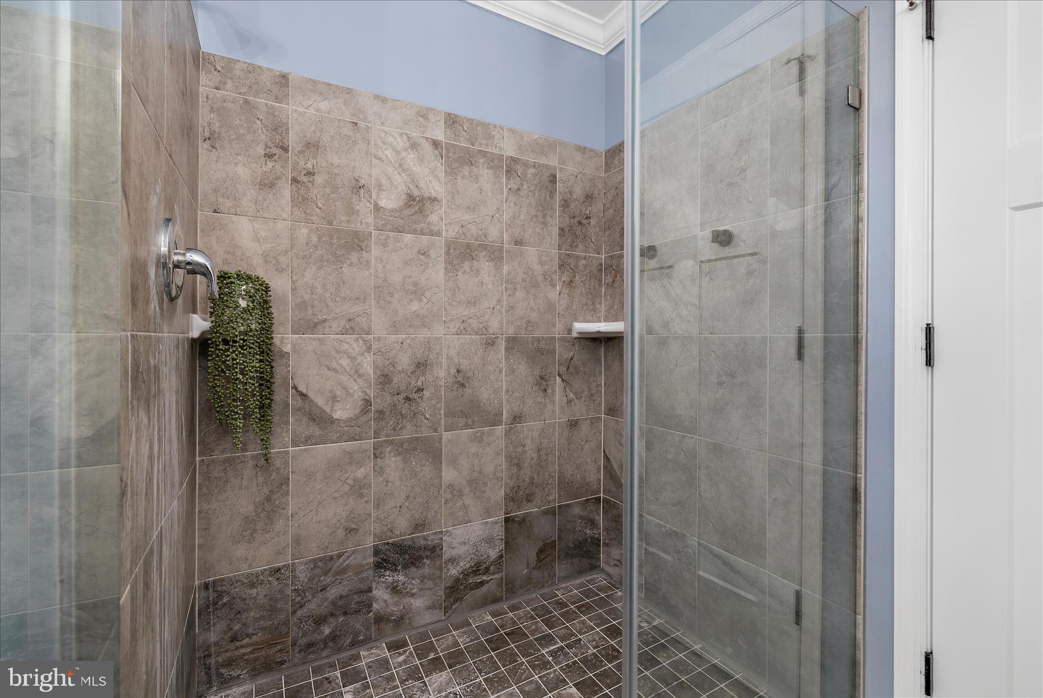 120 Reeand Lane Church Hill, MD 21623 - Photo 35 of 58 Primary Shower