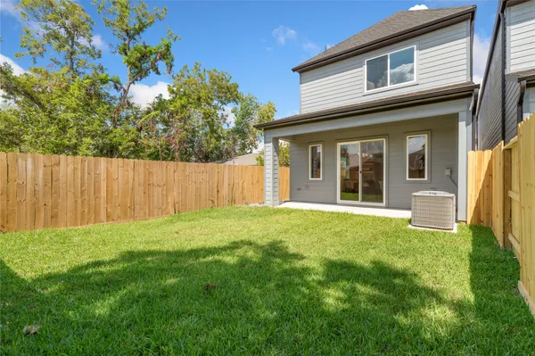a view of a backyard with plants and large tree