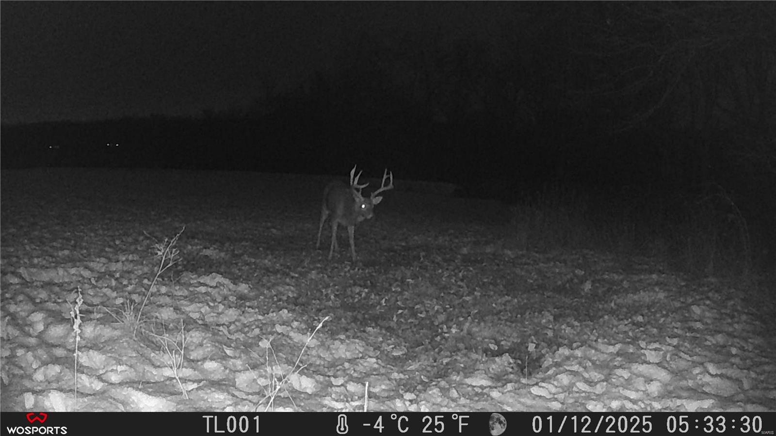 242 Gerding Road Troy, MO 63379 - Photo 2 of 99