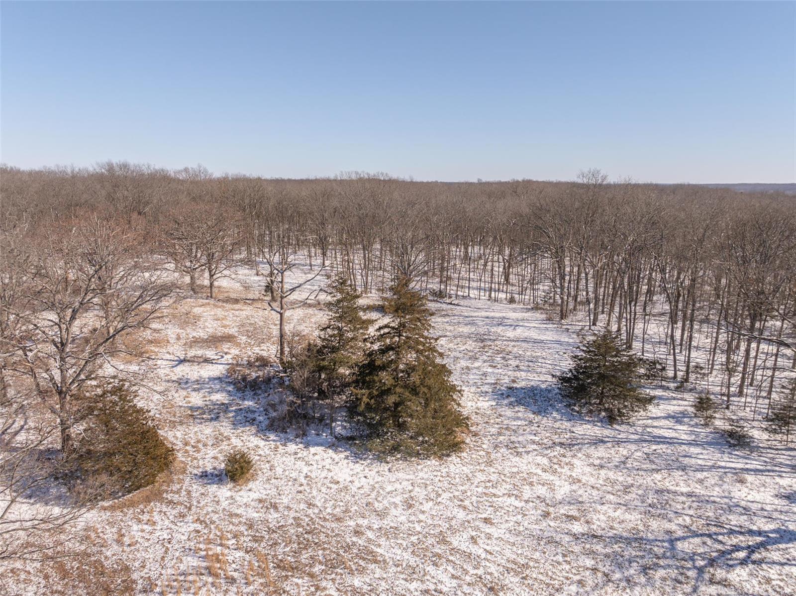 242 Gerding Road Troy, MO 63379 - Photo 49 of 99