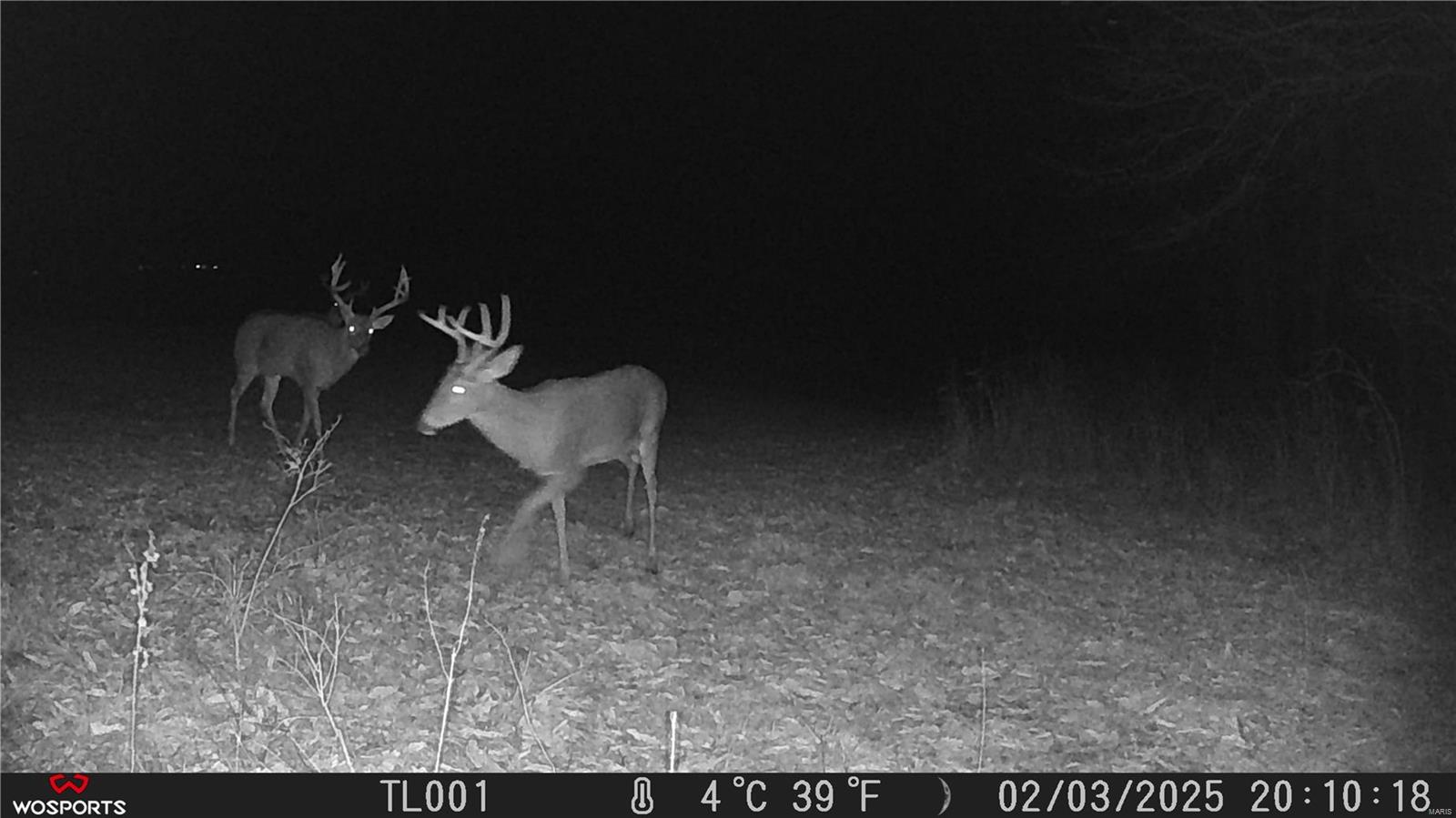 242 Gerding Road Troy, MO 63379 - Photo 54 of 99