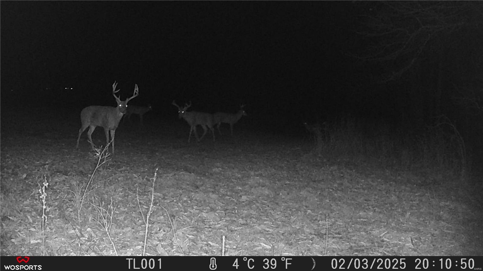 242 Gerding Road Troy, MO 63379 - Photo 55 of 99