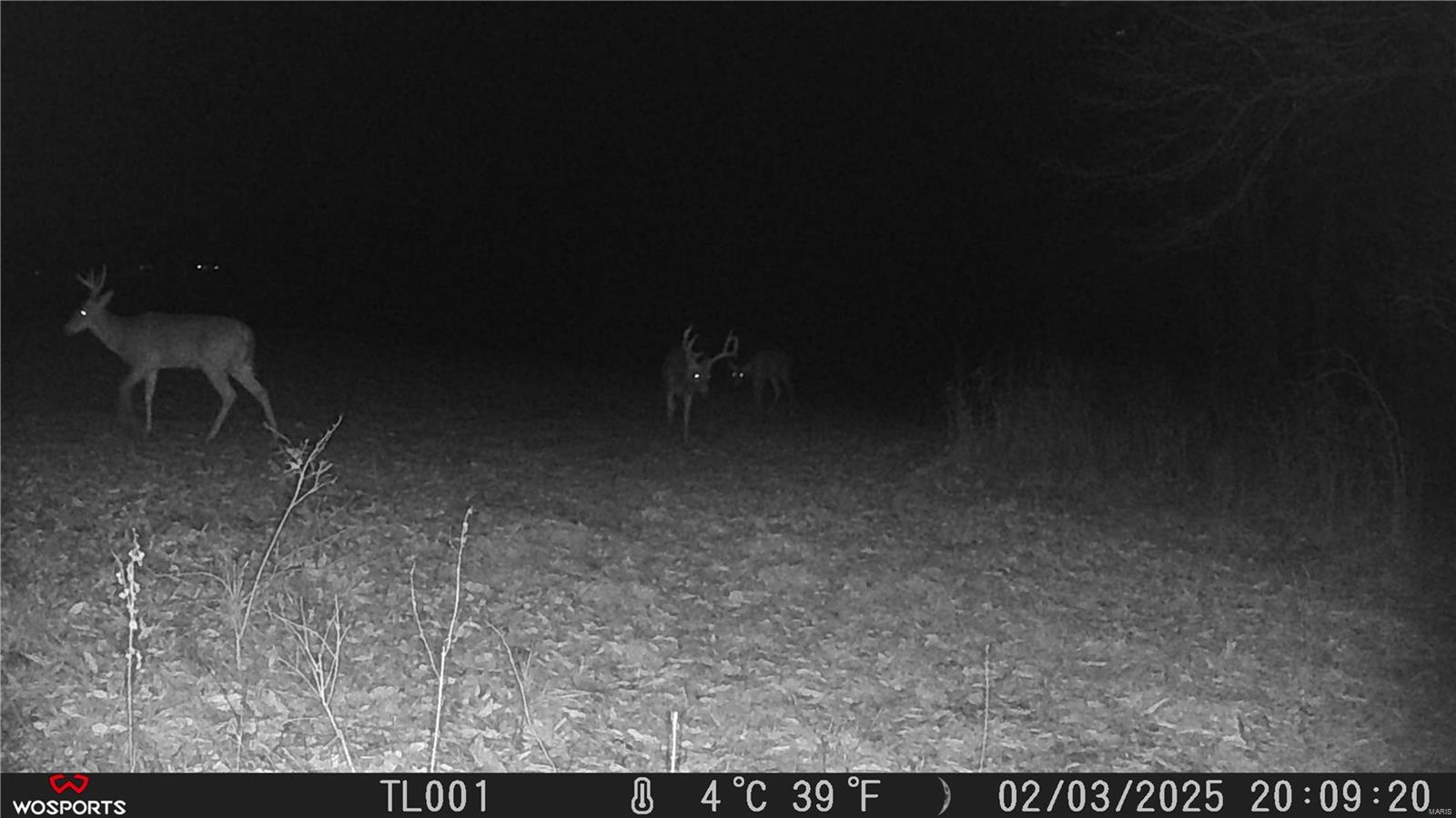 242 Gerding Road Troy, MO 63379 - Photo 56 of 99