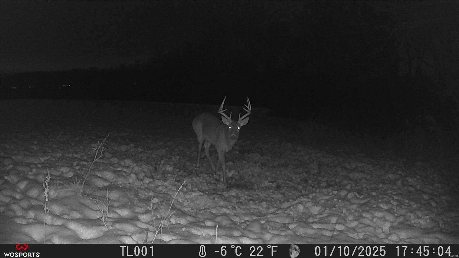 242 Gerding Road Troy, MO 63379 - Photo 57 of 99