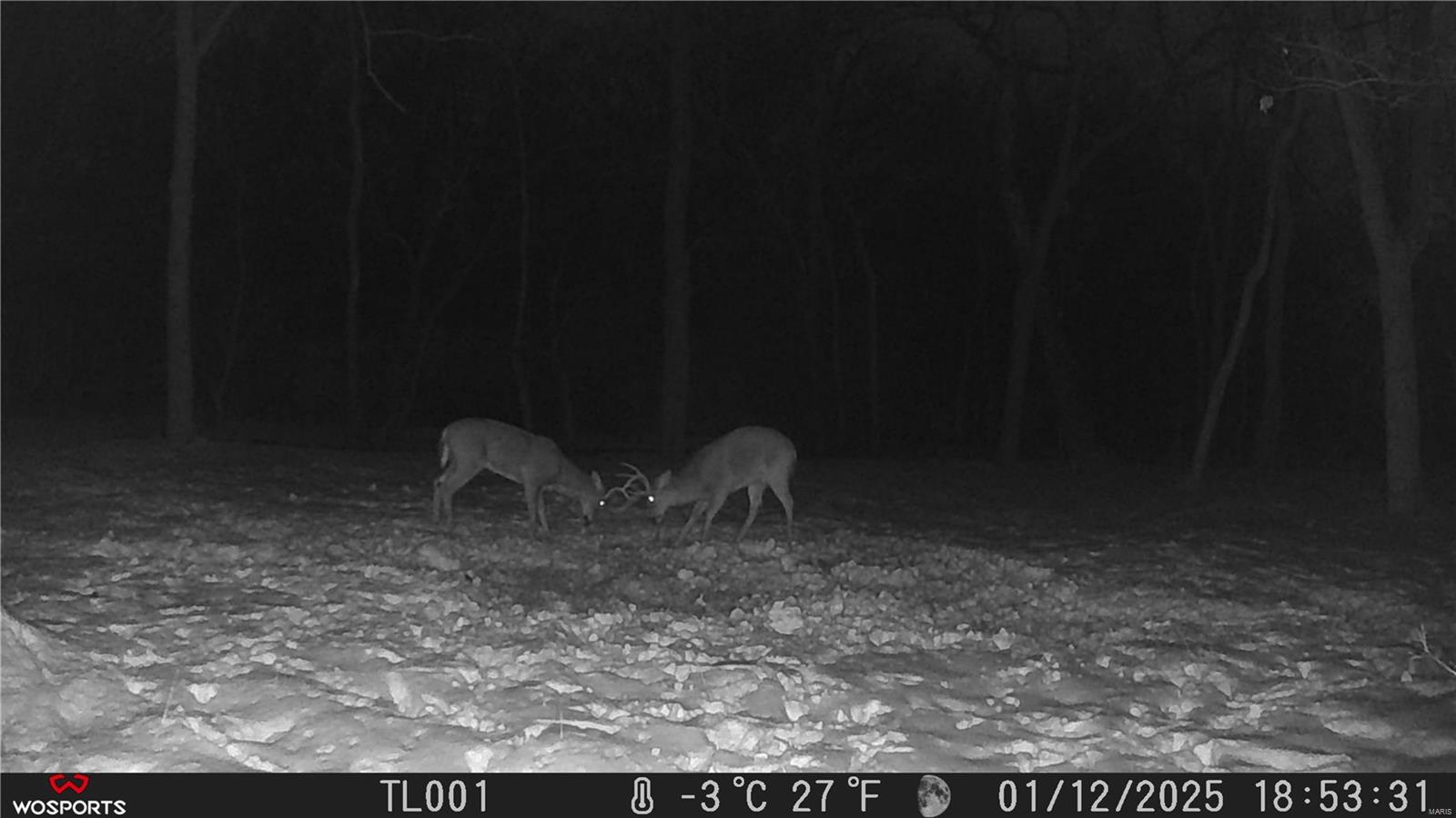 242 Gerding Road Troy, MO 63379 - Photo 58 of 99