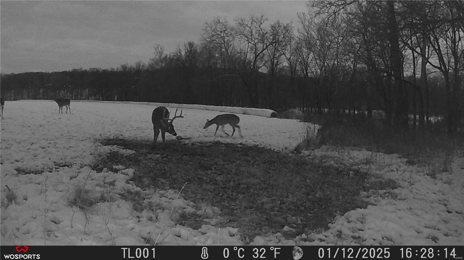 242 Gerding Road Troy, MO 63379 - Photo 61 of 99