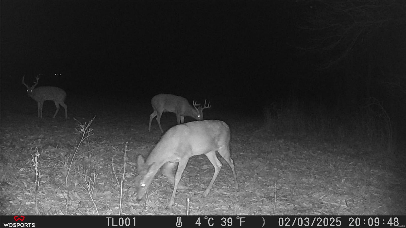 242 Gerding Road Troy, MO 63379 - Photo 62 of 99