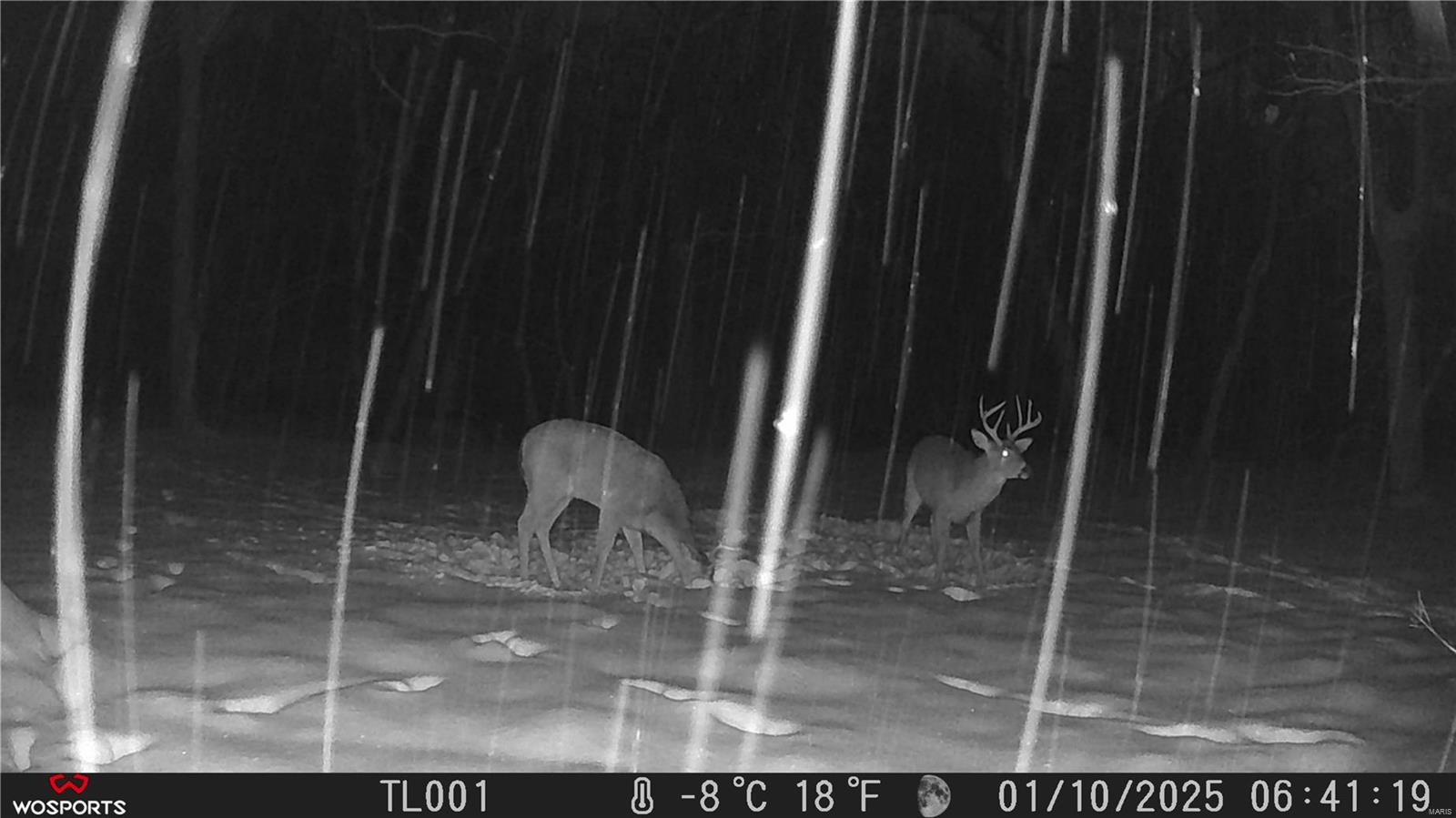 242 Gerding Road Troy, MO 63379 - Photo 63 of 99