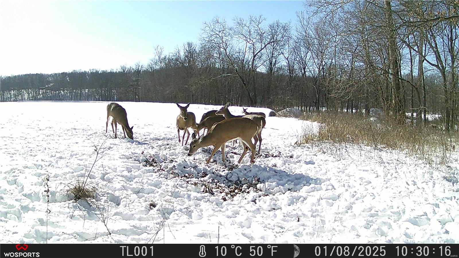 242 Gerding Road Troy, MO 63379 - Photo 64 of 99