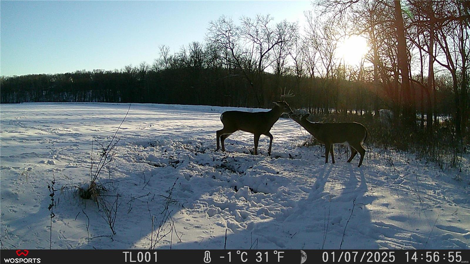 242 Gerding Road Troy, MO 63379 - Photo 65 of 99